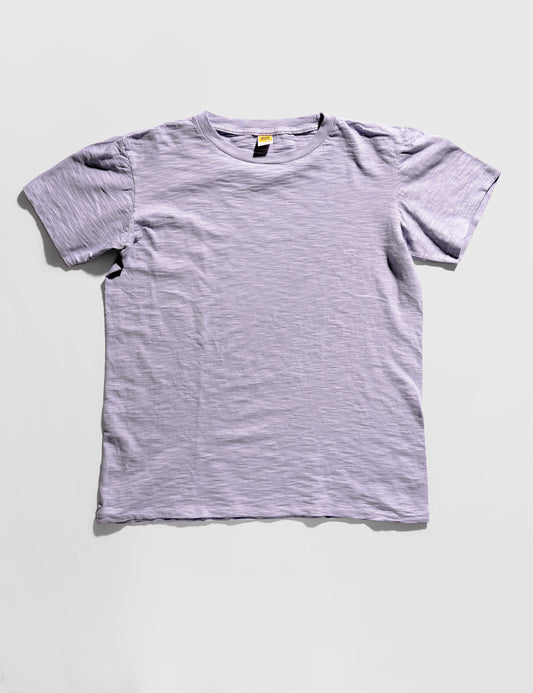 Crewneck T-Shirt in Fuji