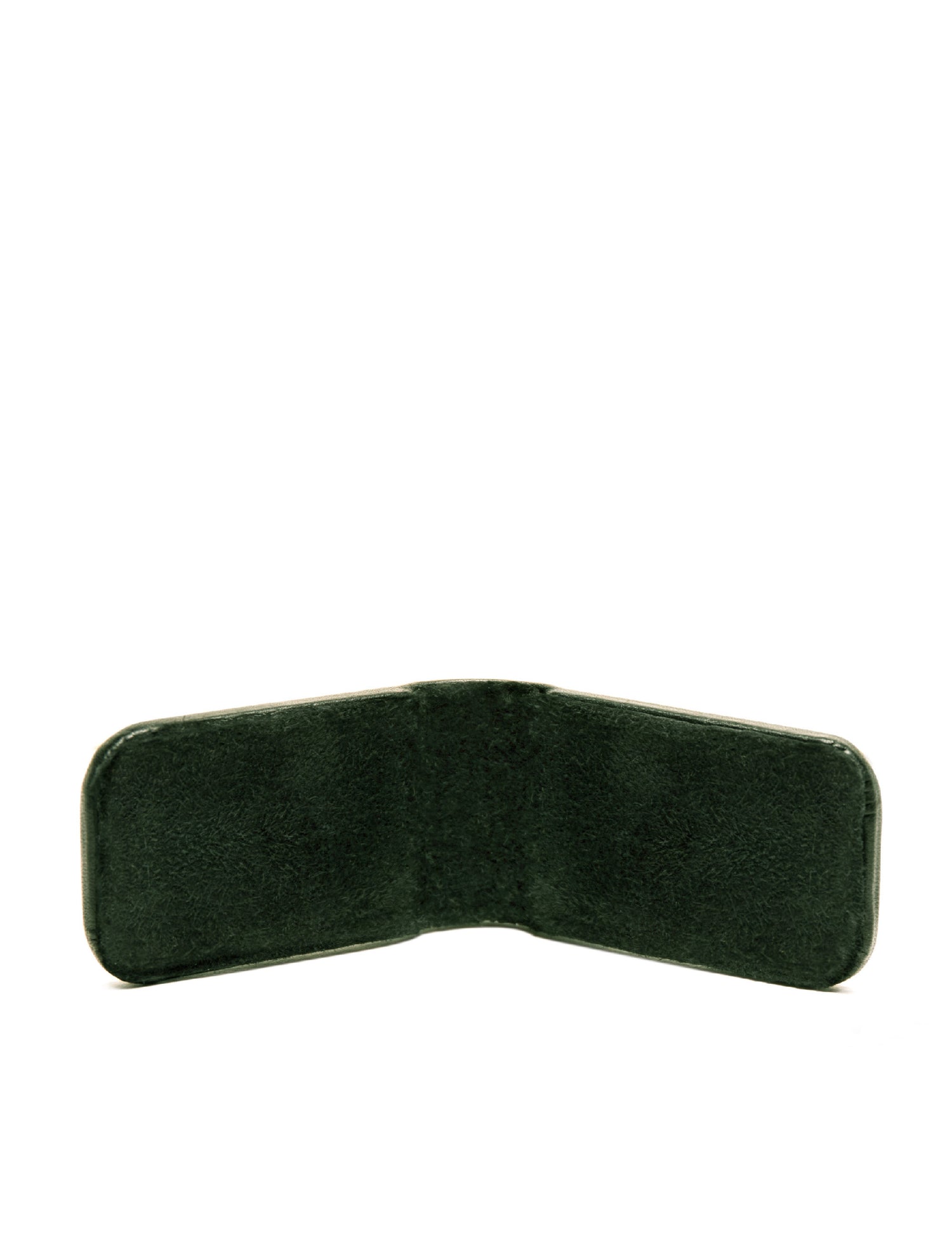 Opened photo of Magnetic Cash Clip in Green